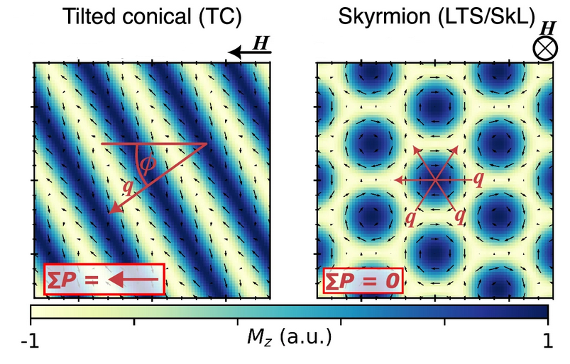 Topological spin textures