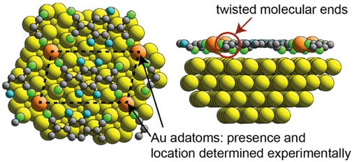 atomic structure of TCNQ on gold