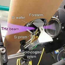 THz measurement of skin