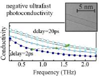 Negative photoconductivity in carbon nanotubes
