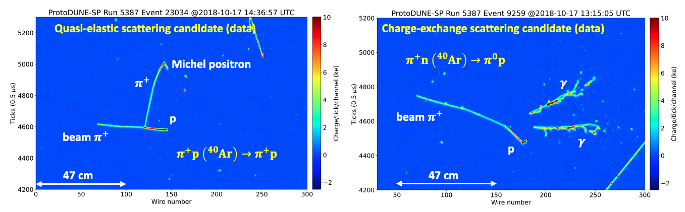 ProtoDUNE-SP Event Display