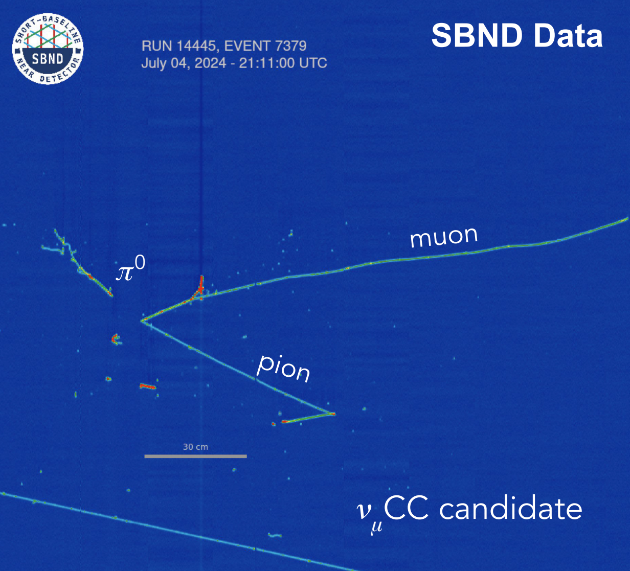 Detector response to a neutrino interaction