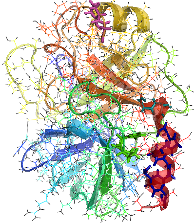 [Image: Three dimensional representation of rigidity distribution for Trypsin protease at energy cut off E=2Kcal/mol.]