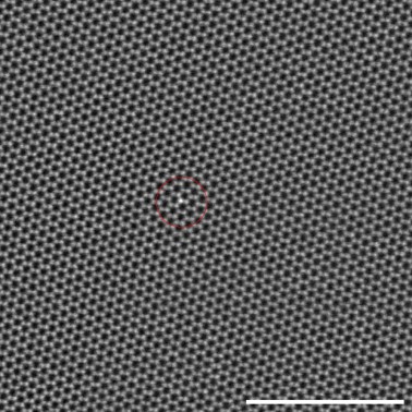 A Pt metal ion migrating in the channel of a molybdenum disulphide memristor