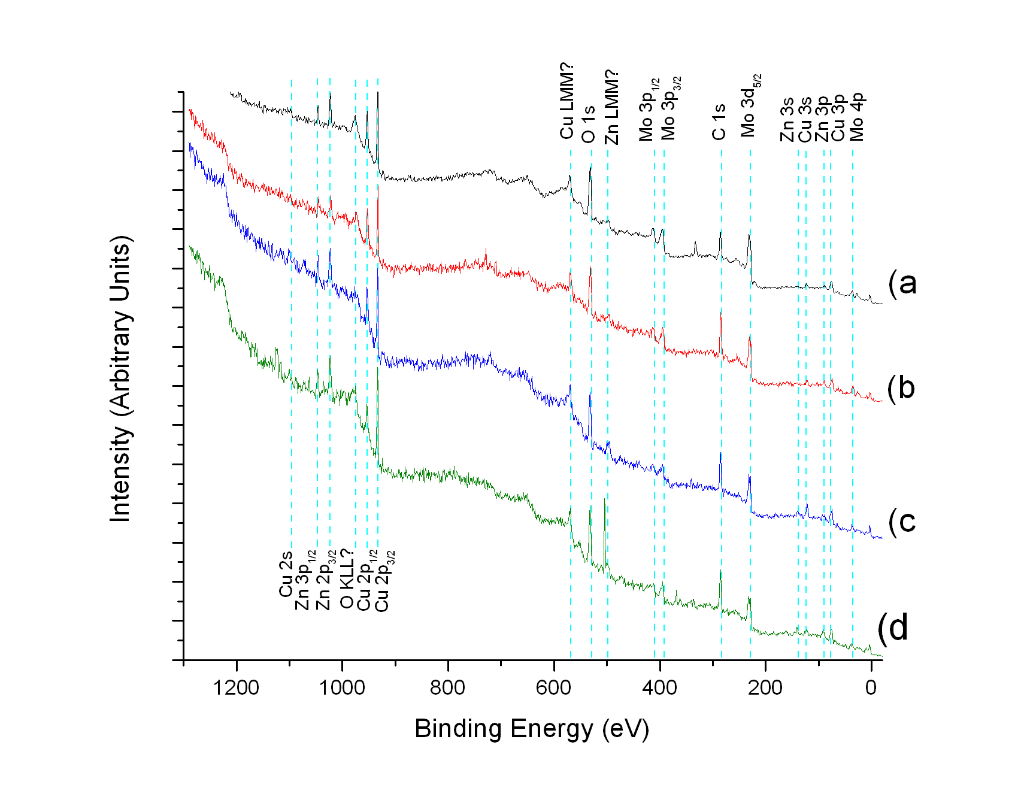 bs004cfsurveys