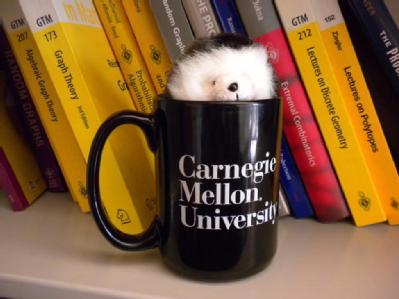 toy hedgehog peeping out of a cup
