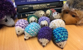 hedgehogs  to be awarded