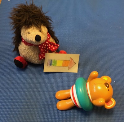 toy hedgehog showing a wind up swimmer toy where to swim