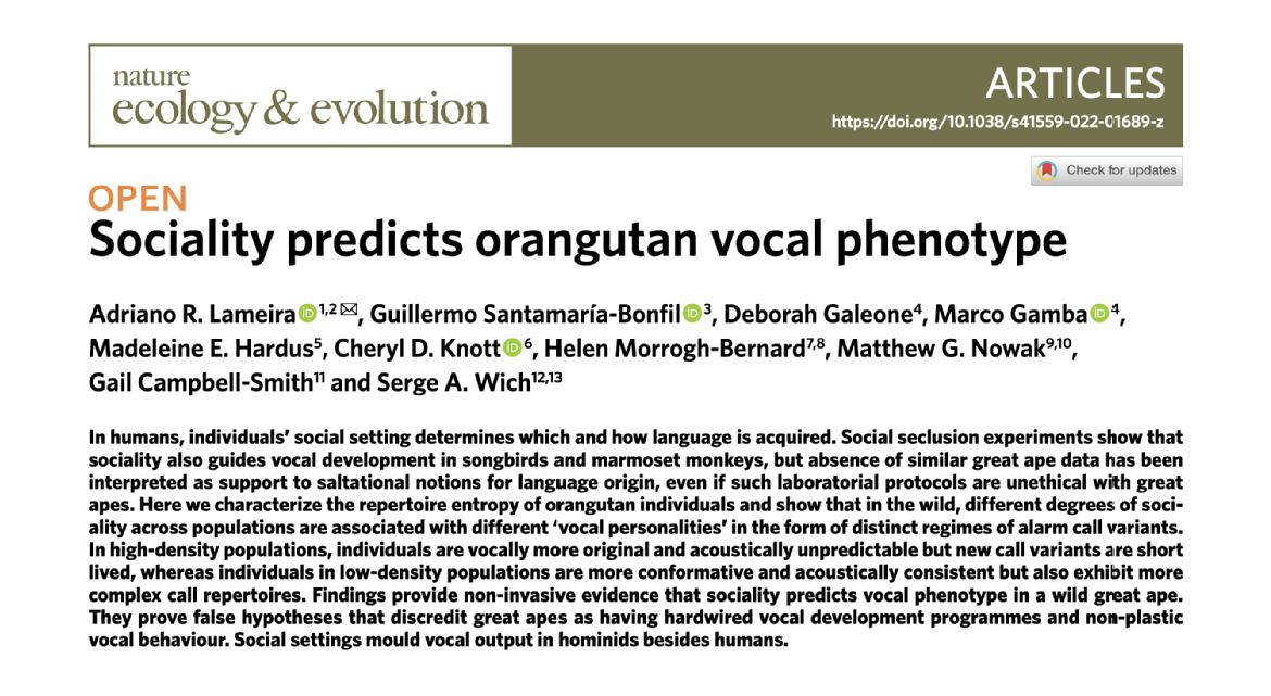 Sociality predicts orangutan vocal phenotype