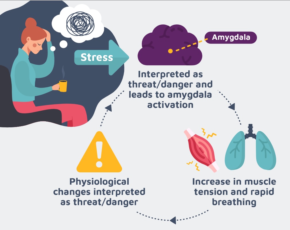 stress physiology