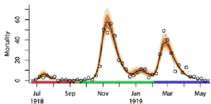 Mortality Curve