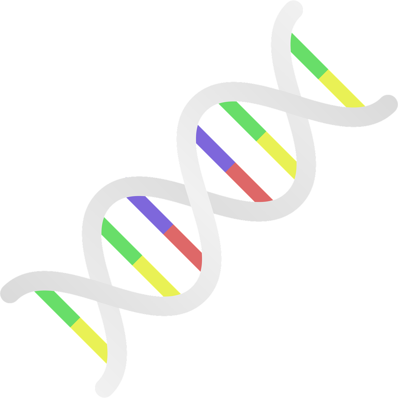 DNA