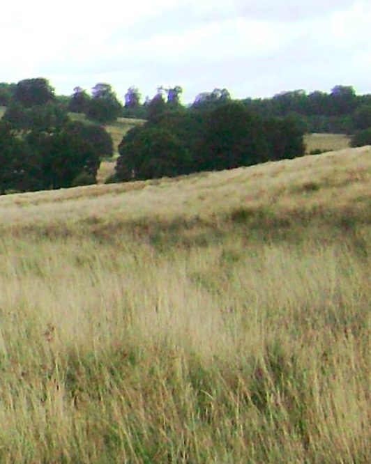 view landscape