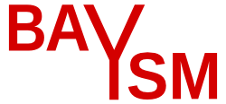 baysm_logo.png