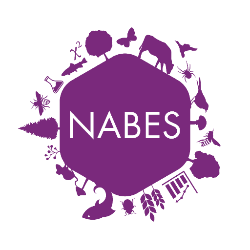 Logo of NABES