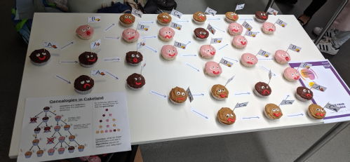 a genealogy made from cupcakes