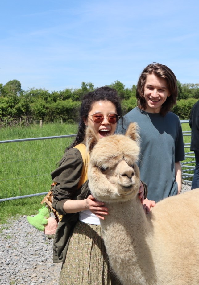 A photo of Yuhan Jiang stroking an alpaca, looking surprised and happy