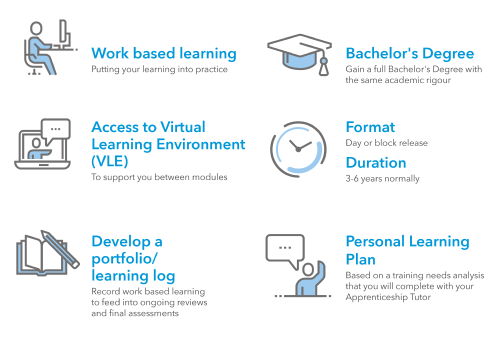 Elements of a Degree Apprenticeship