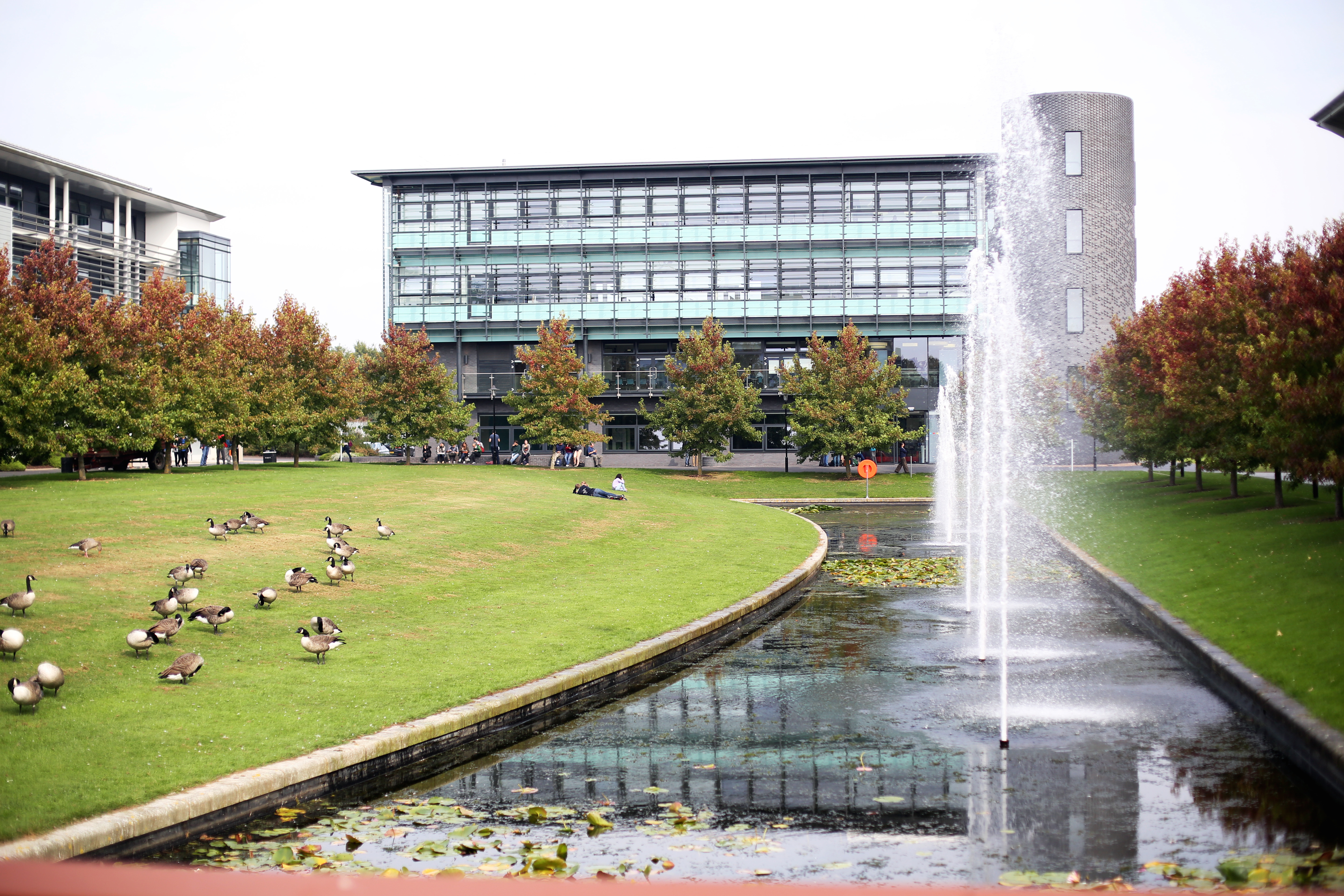 A picture of a lake at the University of Warwick with geese sitting on the grass and fountains spraying water into the air.