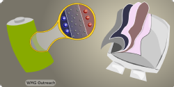 A cylindrical cell and a pouch cell battery are shown with their insides revealed. The electrodes are shown inside the batteries.