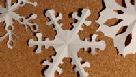 A picture of some paper snowflakes