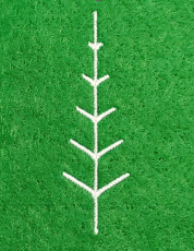 A zine to create a Structured Tree in TurtleStitch