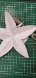 The paper flower starting to take shape