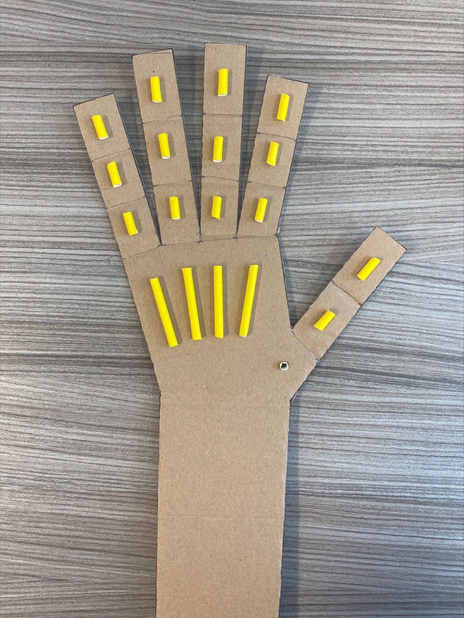 Straws are stuck to cardboard finger bands, with PVA glue