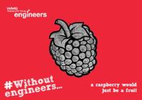 Life without engineers