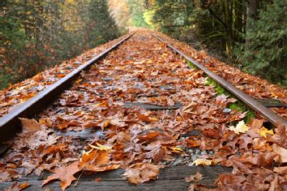 Siddartha Khastgir - Medium blog image 3 - Train tracks with leaves.