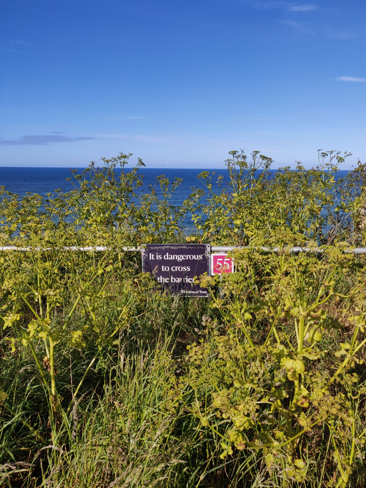 national trust sign and metal barrier. Sign says 'it is dangerous to walk along the cliffs.'