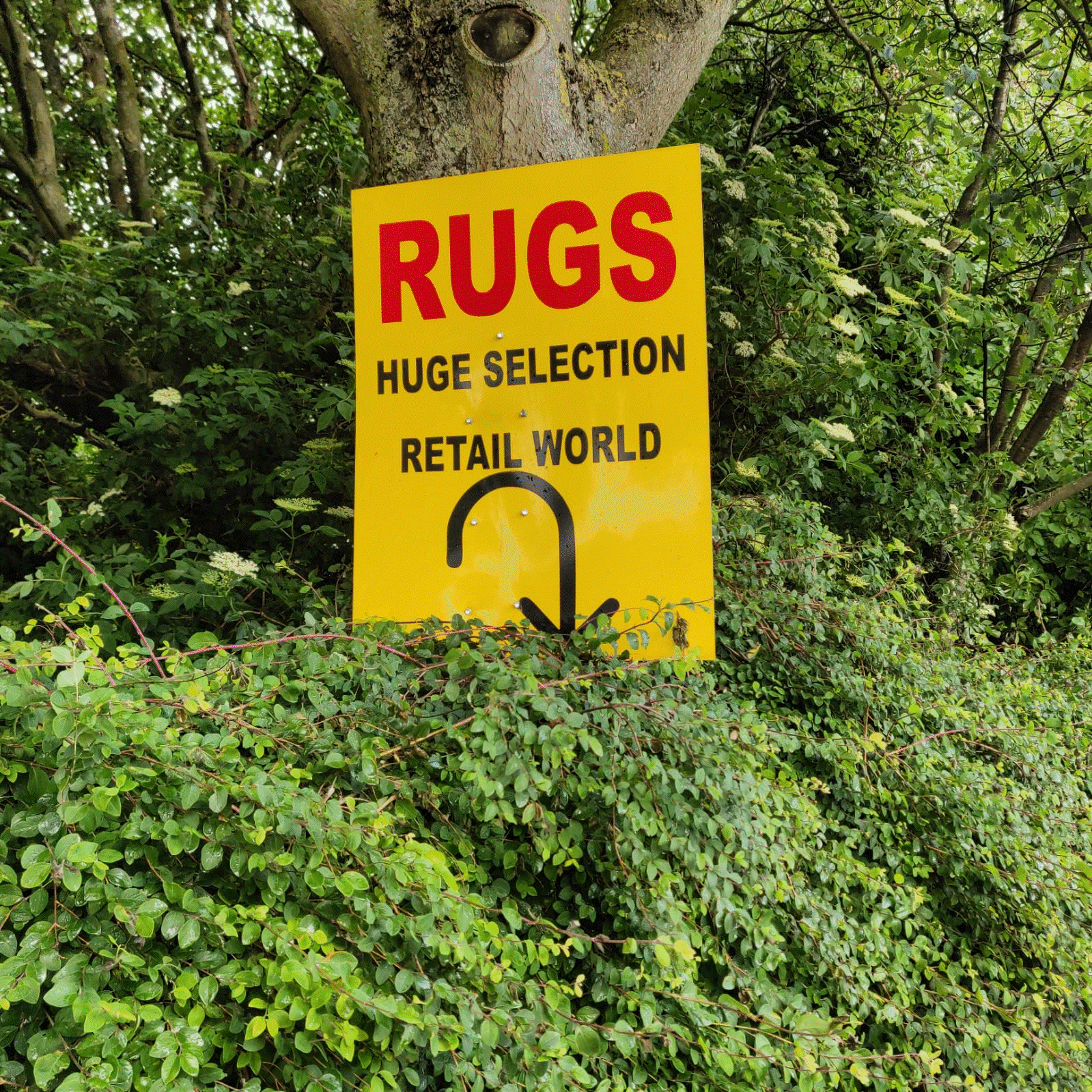 sign board for a rug showroom which says 'rug sale - huge selection'
