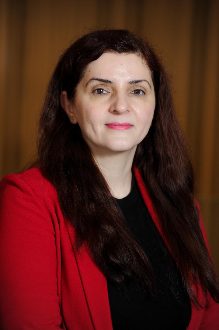 Holly Heshmati