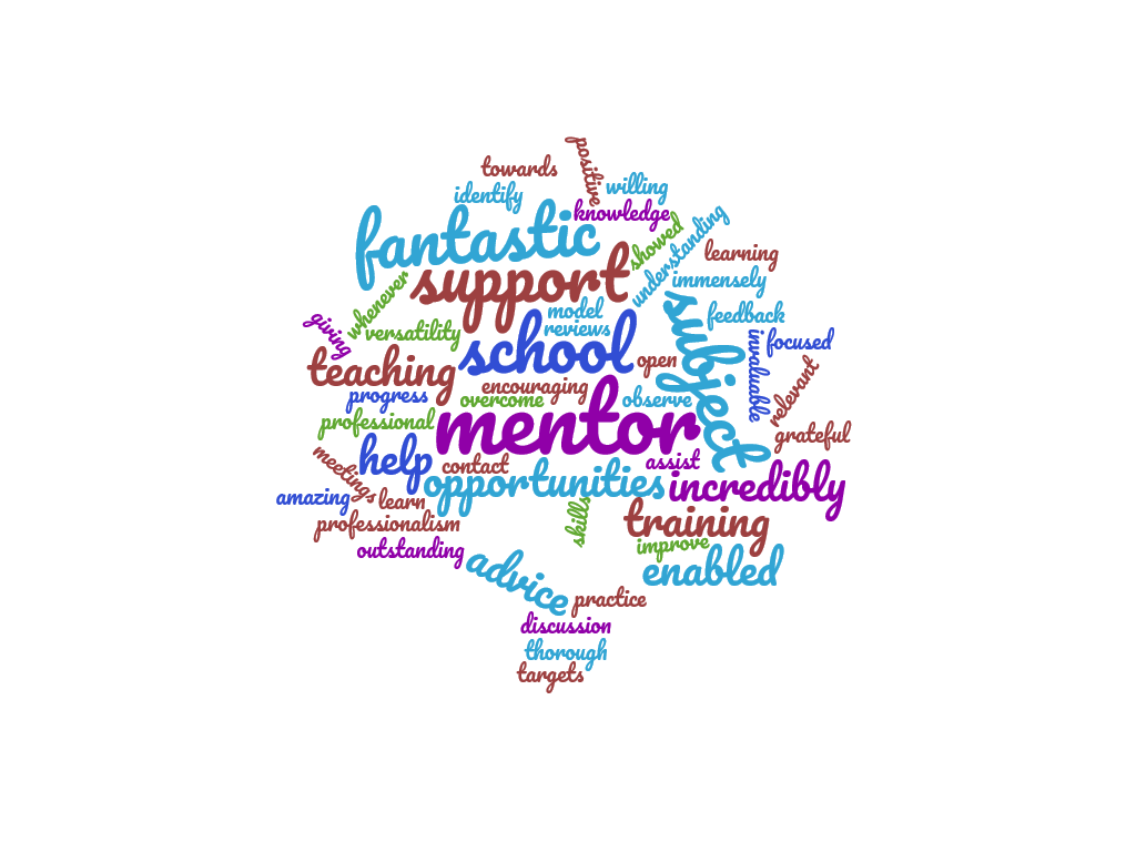 Mentor word cloud