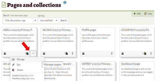 Mahara pages and collection interface