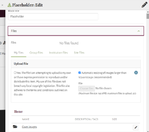 Files to download interface in Mahara