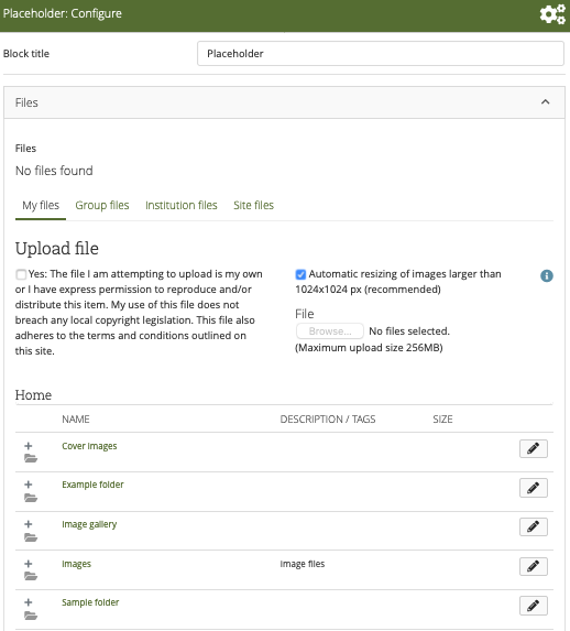 Files to download interface in Mahara