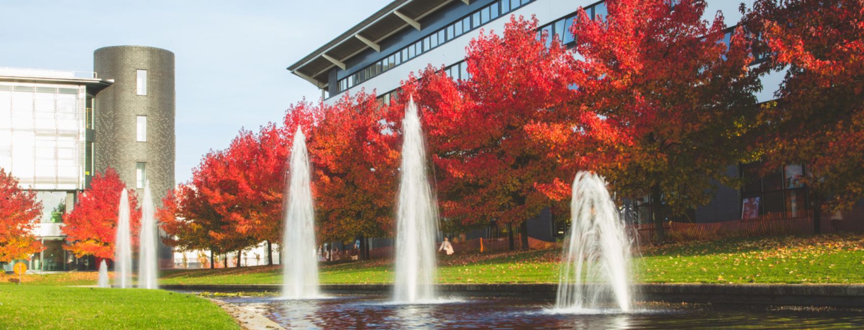 the University of Warwick campus photogrpahed in the autumn weather