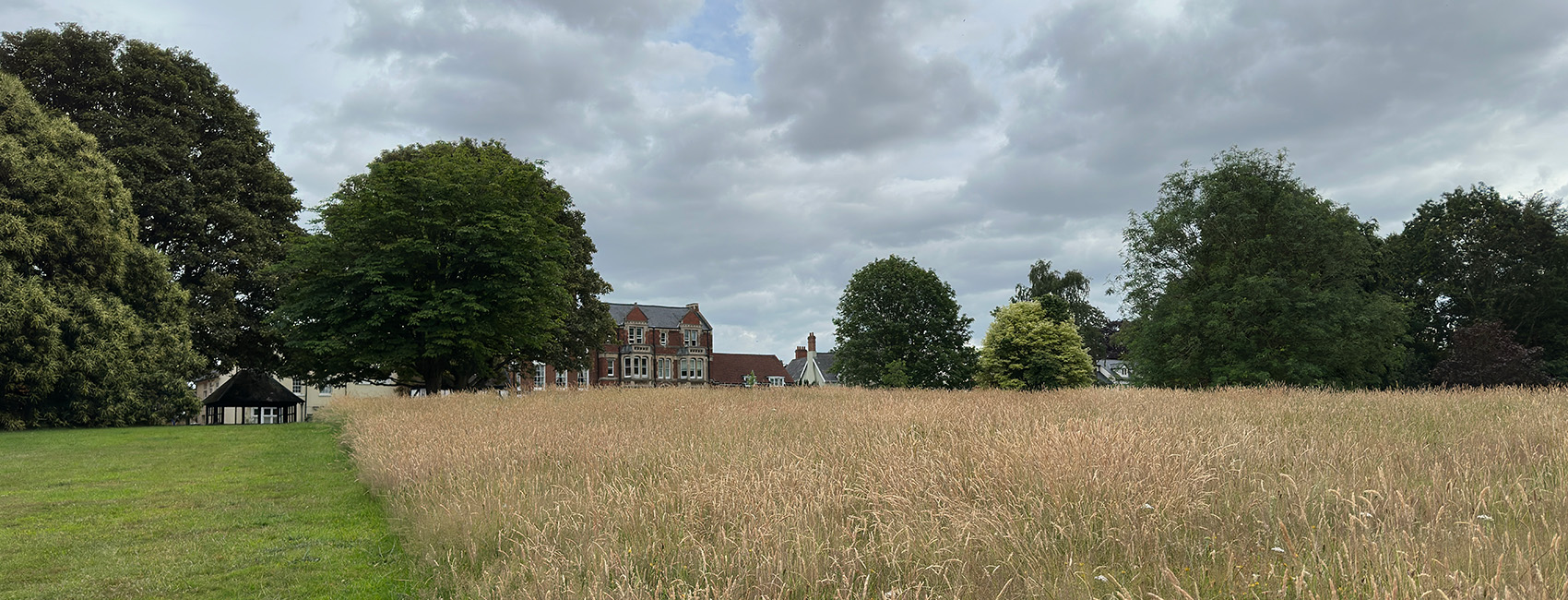 A tall meadow of golden grasses borders a mown lawn, with a Victorian brick house and mature trees under a moody, cloud-filled sky