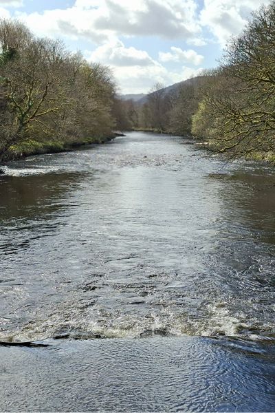 Photo of a river