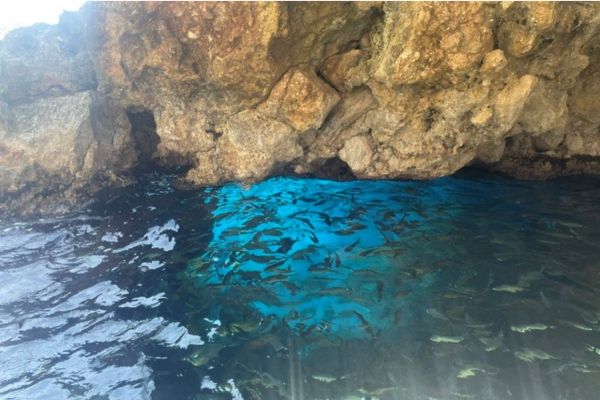 Fish in the sea in Corfu