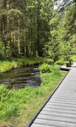 Bench with a scenic view of a river