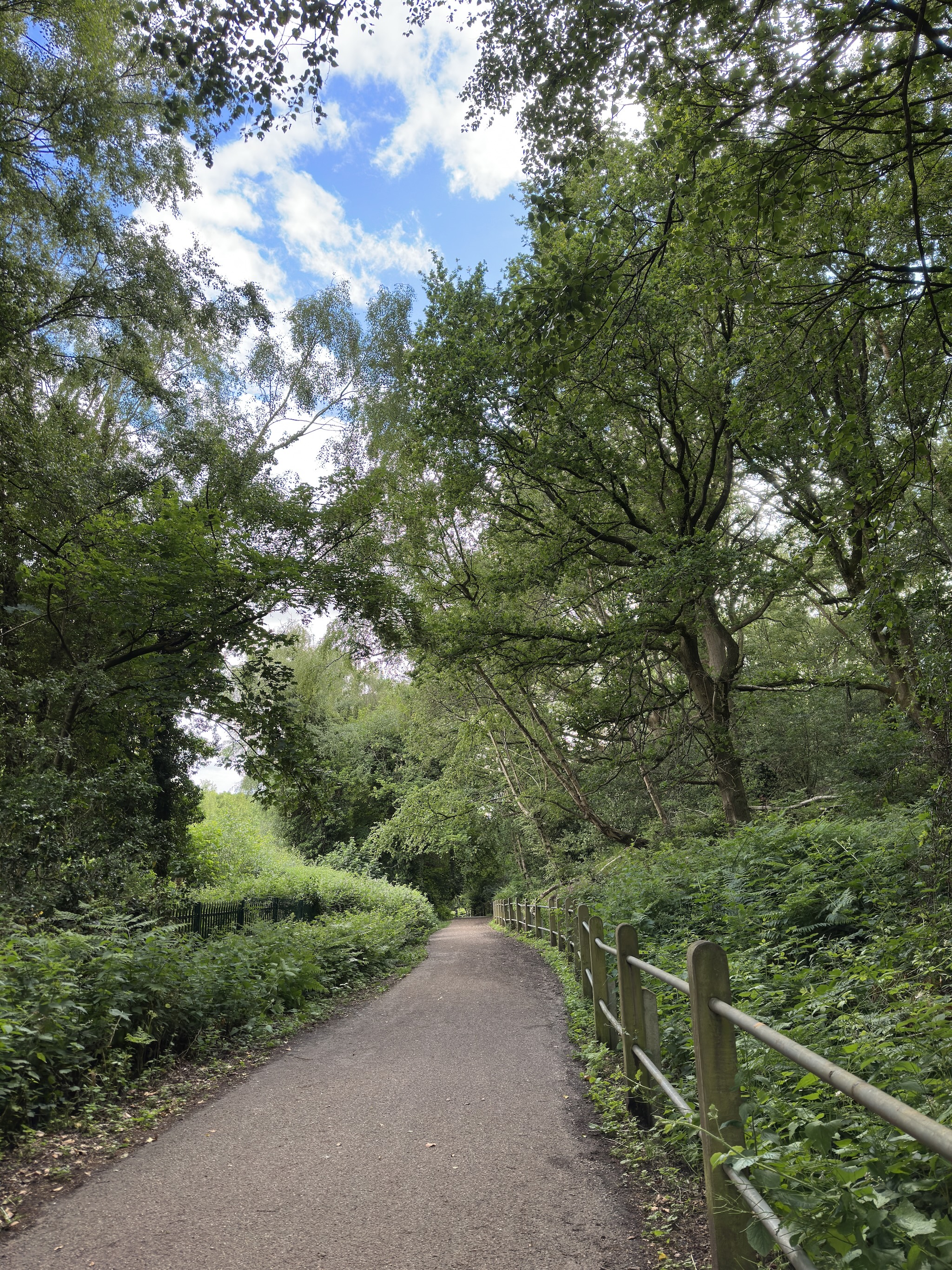 Tree-lined tarmac path with a wooden rail fence, surrounded by lush greenery under a partly cloudy sky.