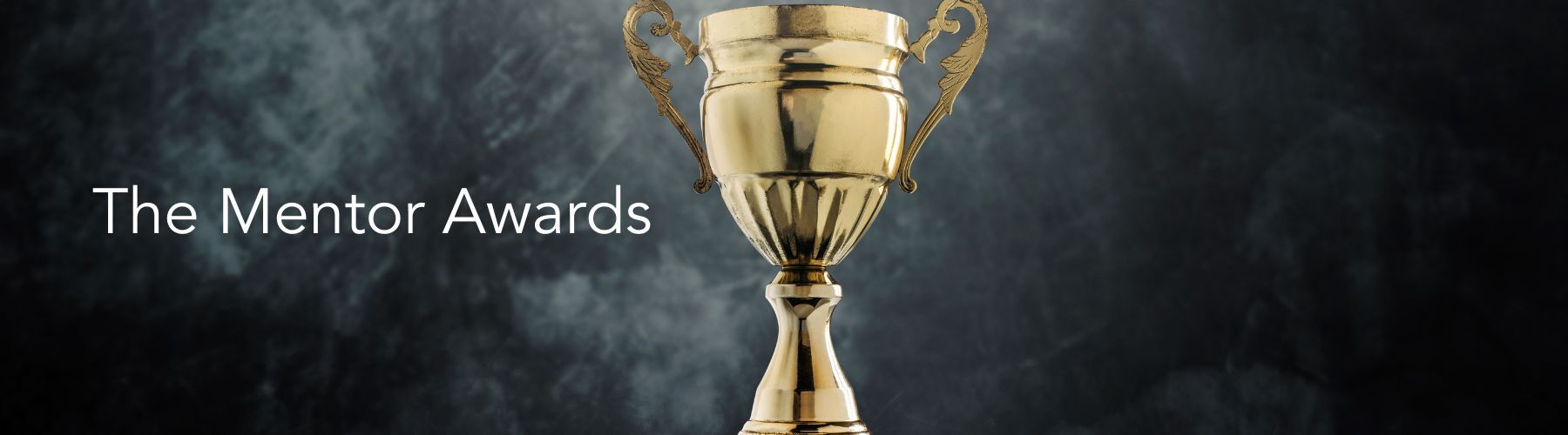 Header image for article