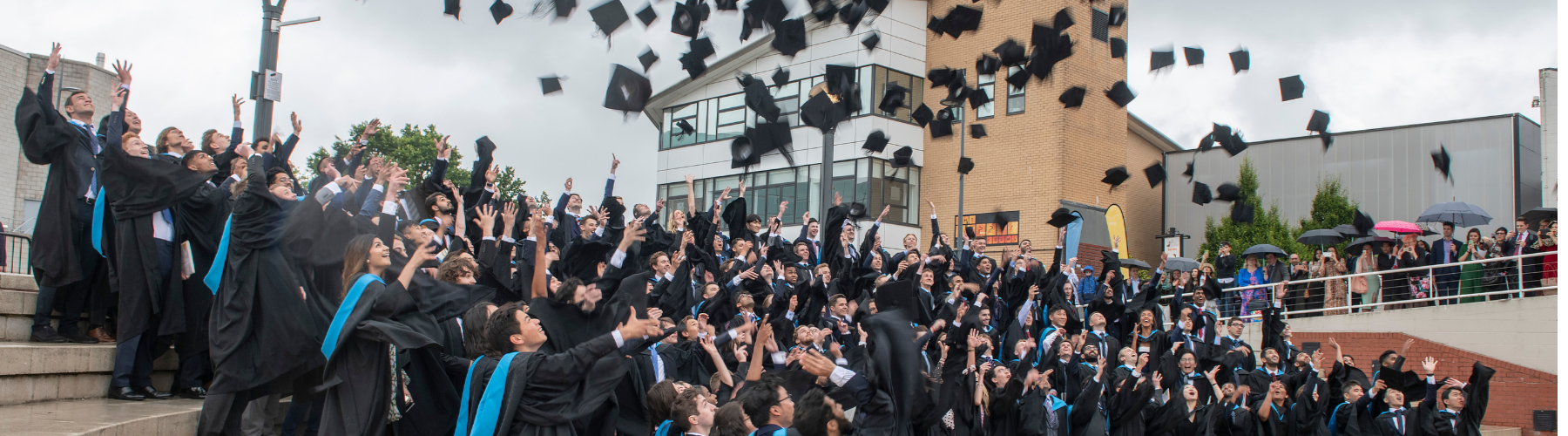 Header image for article