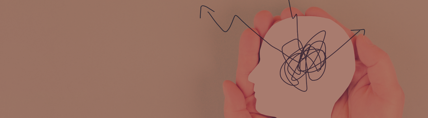 Header image for article