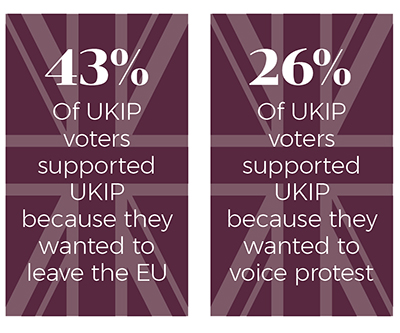 Reasons for voting UKIP
