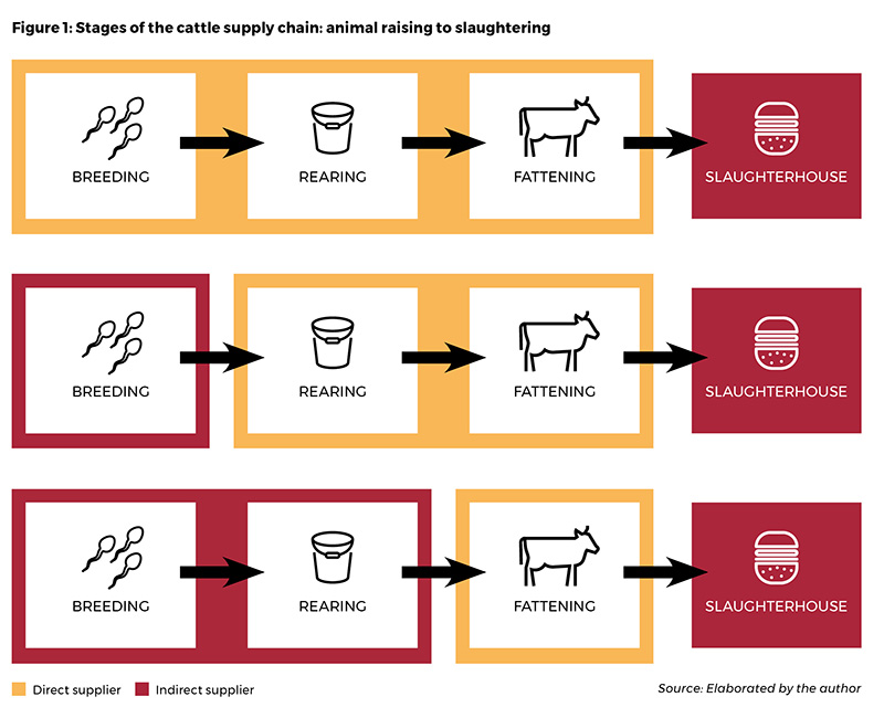 Figure 1: Stages of the animal supply chain: animal rearing to slaughtering