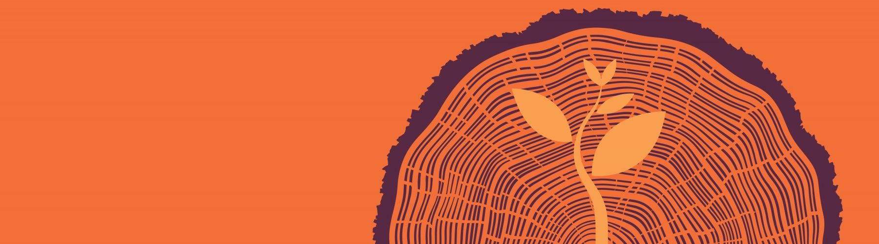 Header image for article