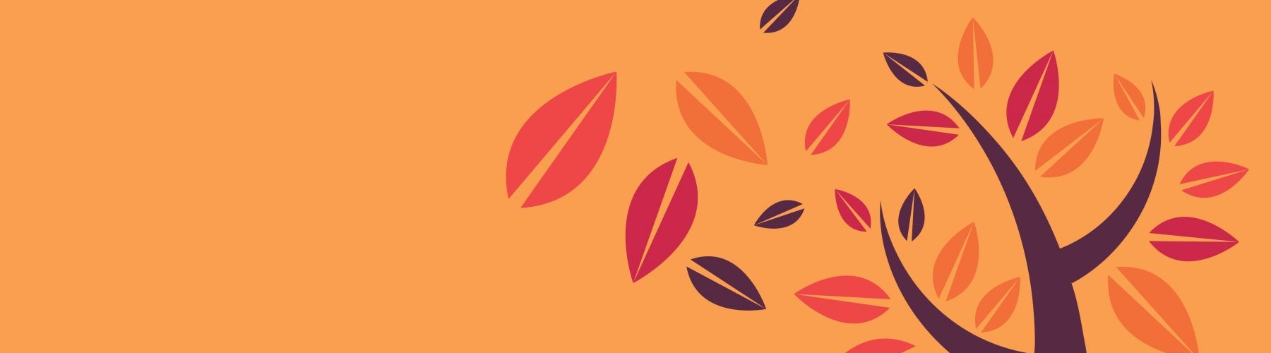 Header image for article